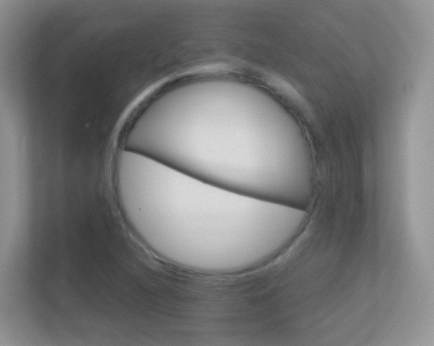 X0000113881216200909241019