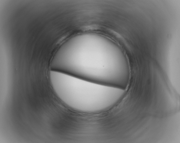X0000113881217200909241019