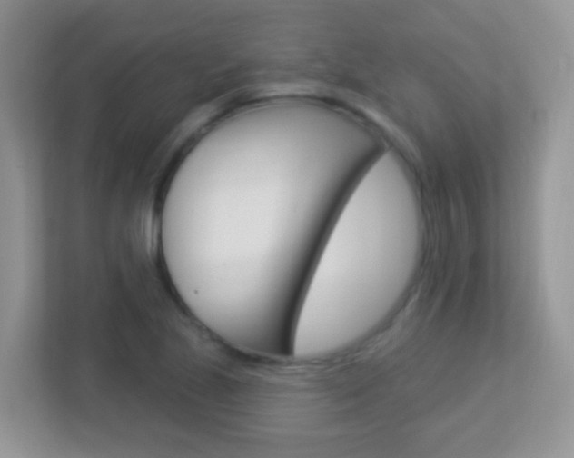 X0000113881221200909241020