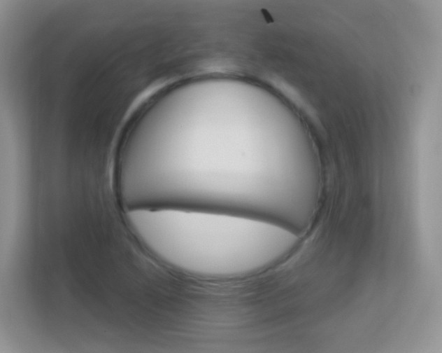 X0000113881222200909241020