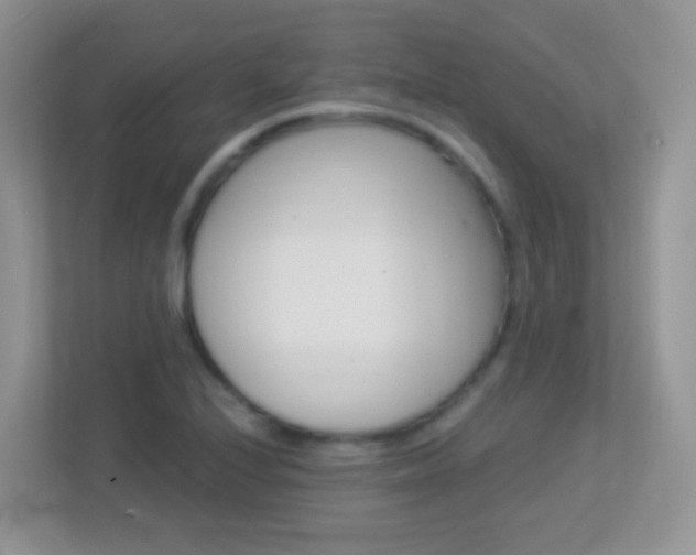 X0000113881224200909241020
