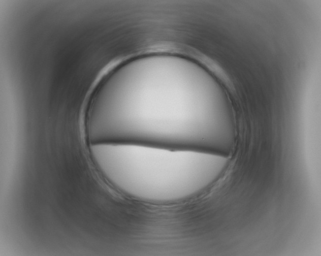 X0000113881230200909241020