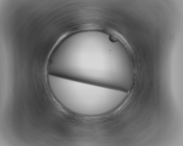 X0000113881236200909241020