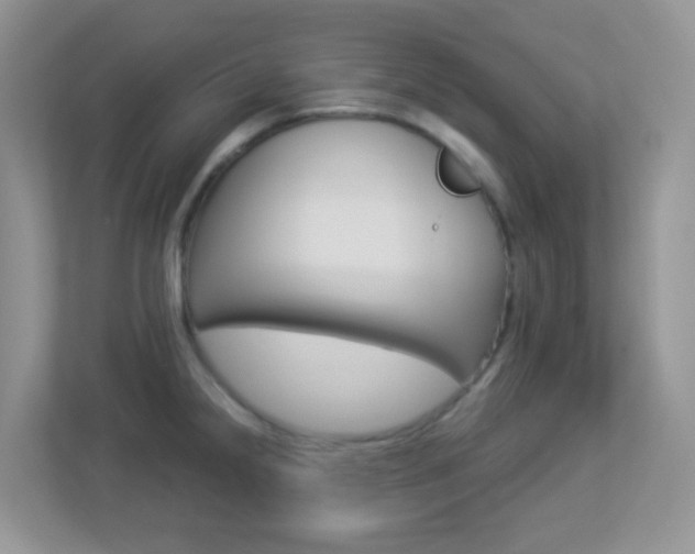 X0000113881238200909241020