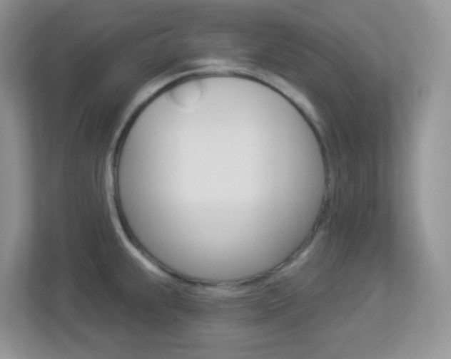 X0000113881239200909241020