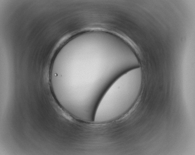 X0000113881240200909241020