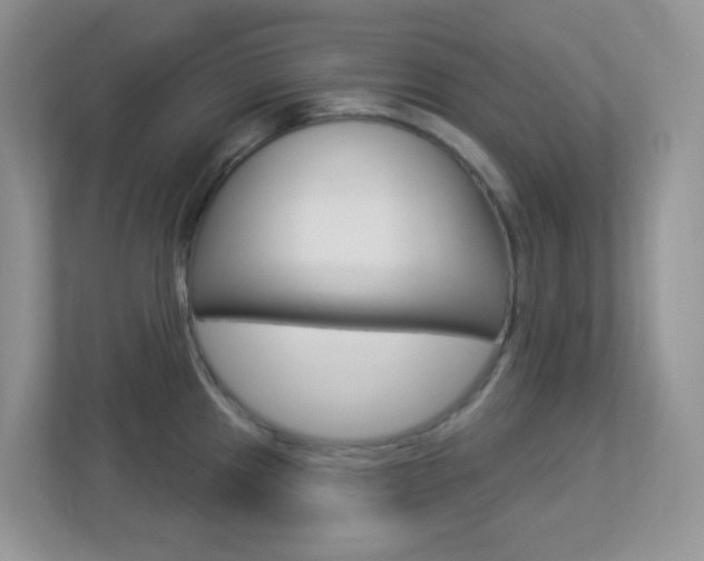 X0000113881241200909241020