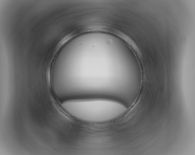 X0000113881242200909241020
