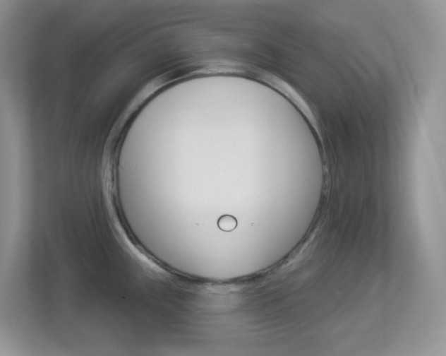 X0000113881243200909241020
