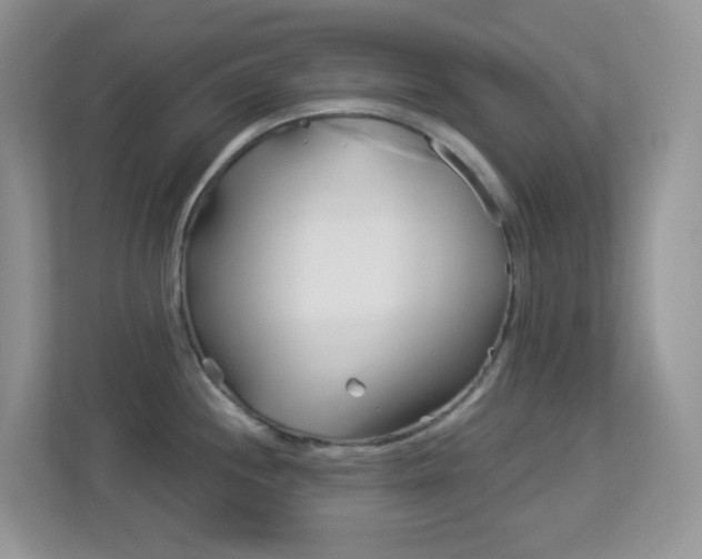 X0000113881244200909241020