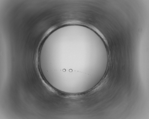 X0000113881245200909241020