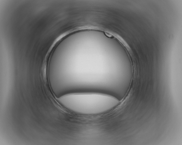 X0000113881246200909241020