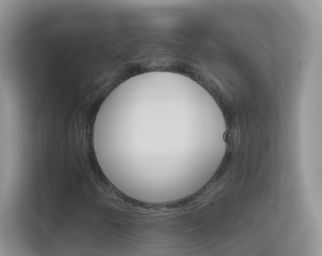 X0000113881250200909241019