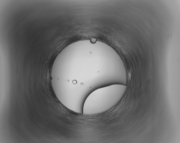 X0000113881251200909241019
