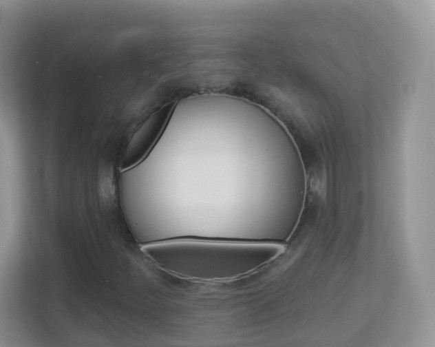 X0000113881252200909241019