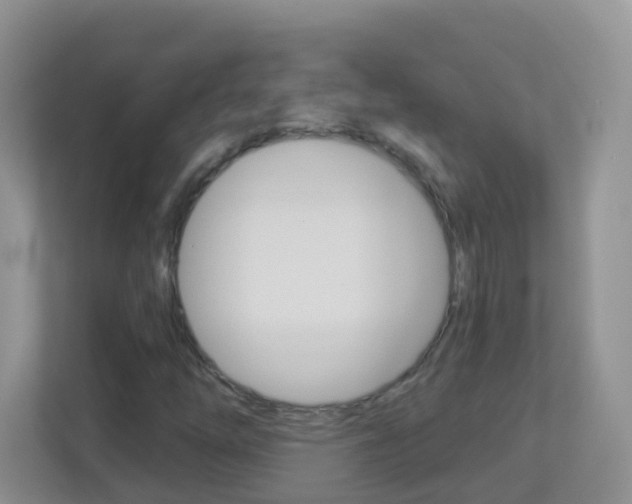 X0000113881254200909241019