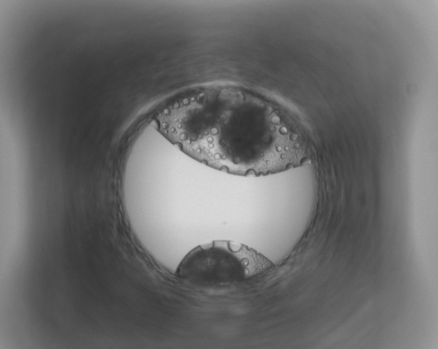 X0000113881255200909241019