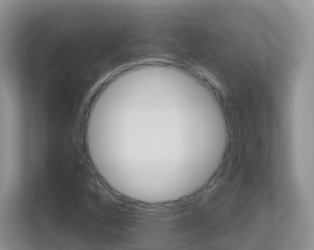 X0000113881256200909241019