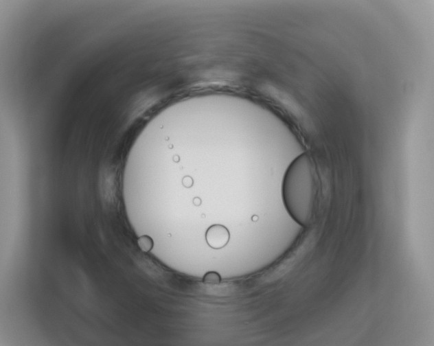 X0000113881258200909241019
