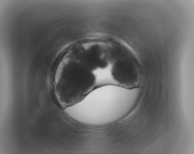 X0000113881259200909241019