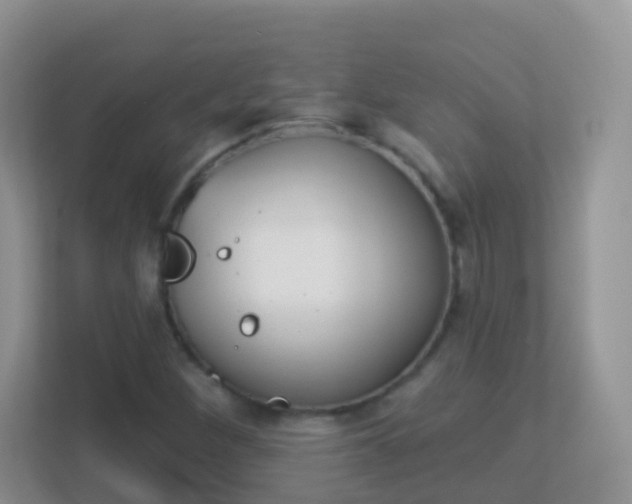 X0000113881260200909241019