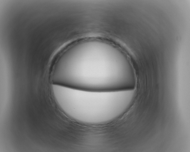 X0000113881262200909241019