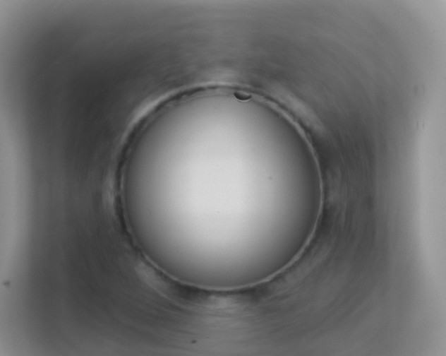 X0000113881264200909241019
