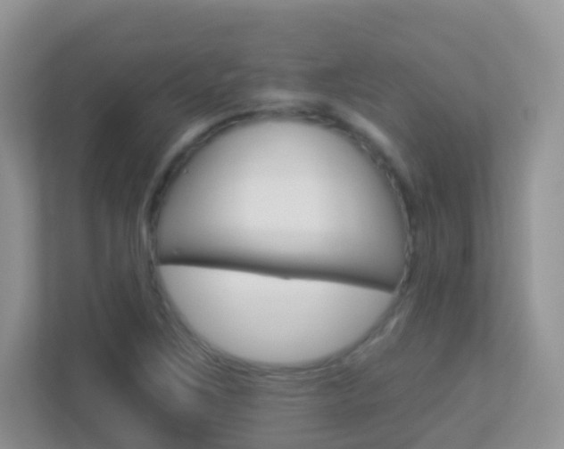 X0000113881267200909241019