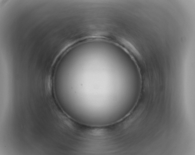 X0000113881268200909241019