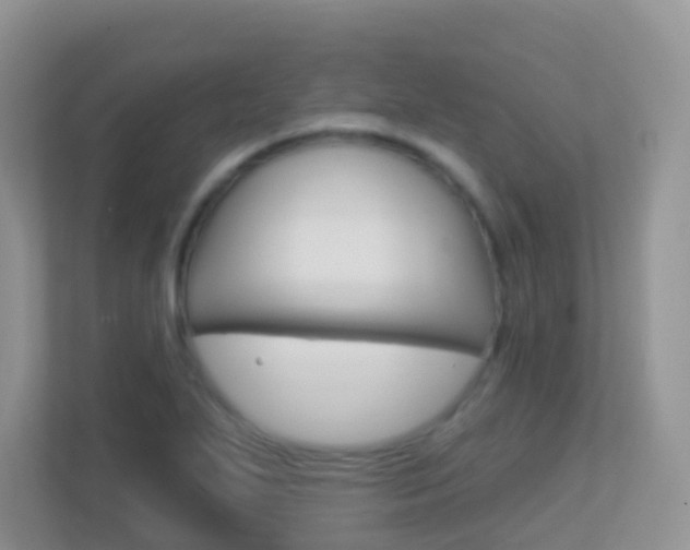 X0000113881271200909241019