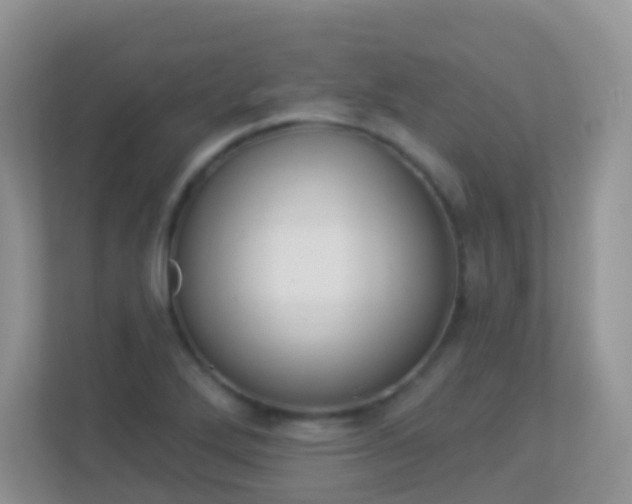 X0000113881272200909241019