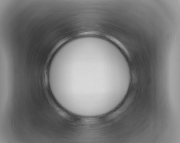 X0000113881274200909241019