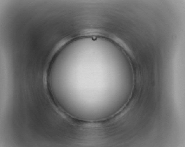 X0000113881277200909241019