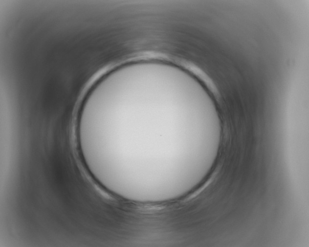 X0000113881278200909241019