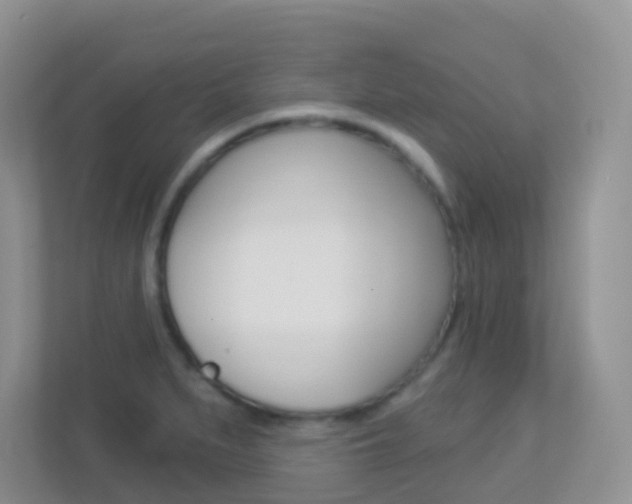 X0000113881279200909241019