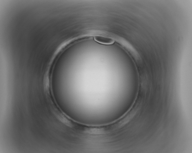 X0000113881280200909241019