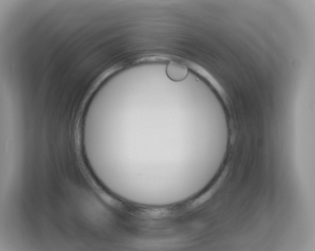 X0000113881282200909241019