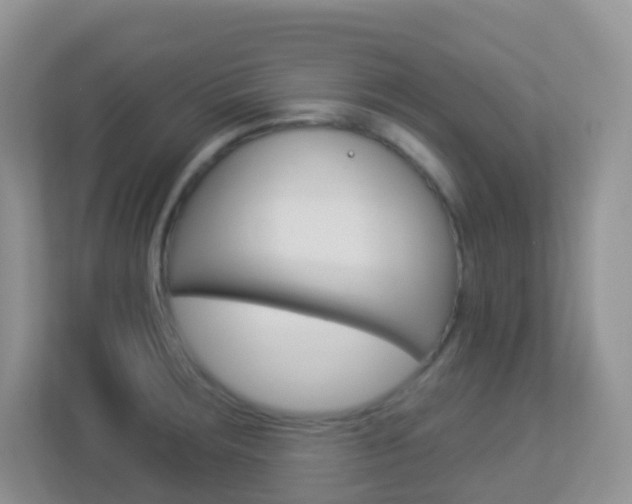 X0000113881283200909241019