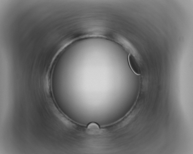 X0000113881284200909241019
