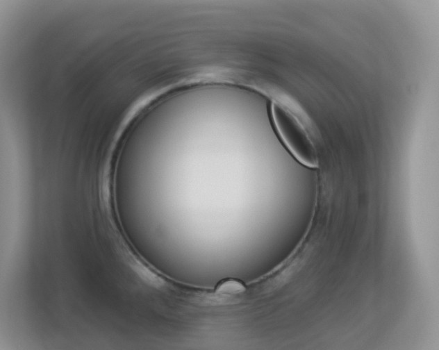 X0000113881288200909241019