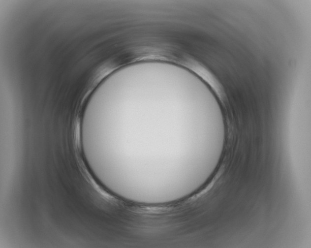 X0000113881290200909241019