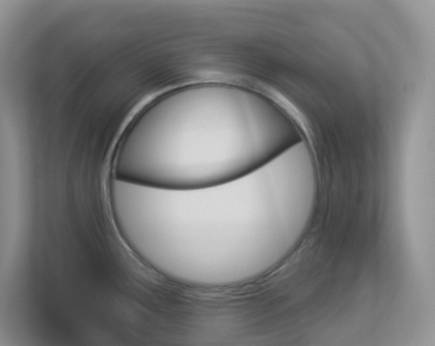 X0000113881291200909241019