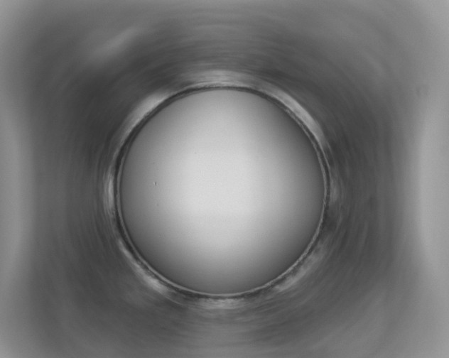 X0000113881293200909241019