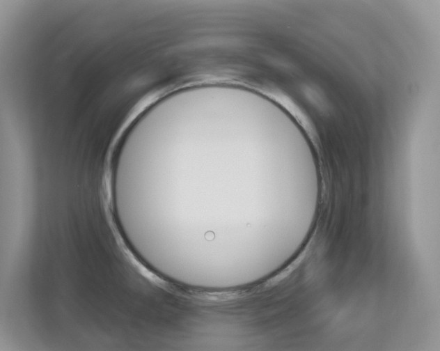 X0000113881294200909241019