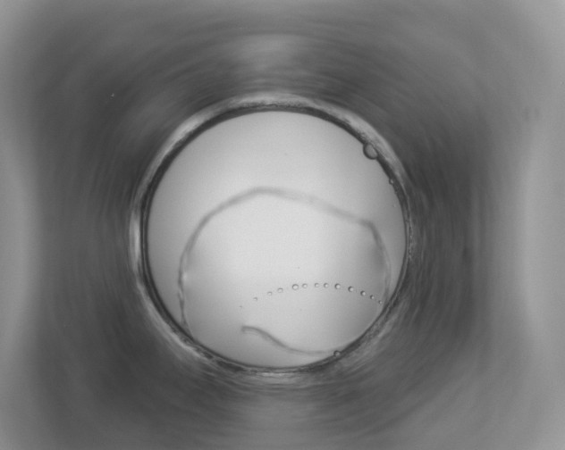 X0000113881295200909241019
