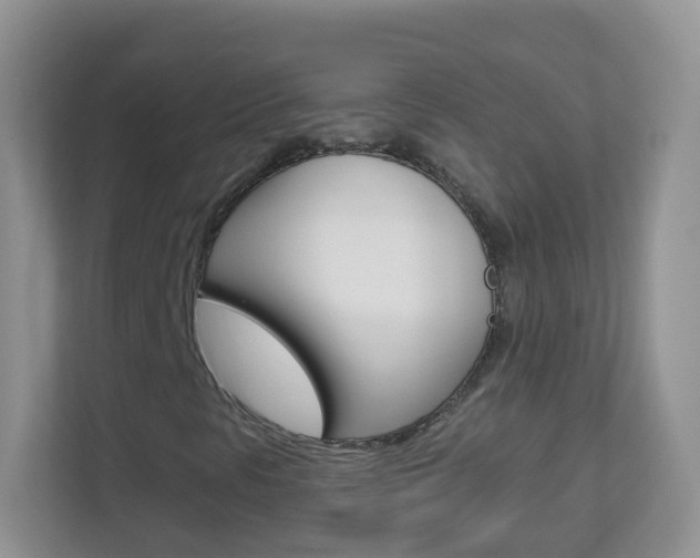 X0000113881297200909241018