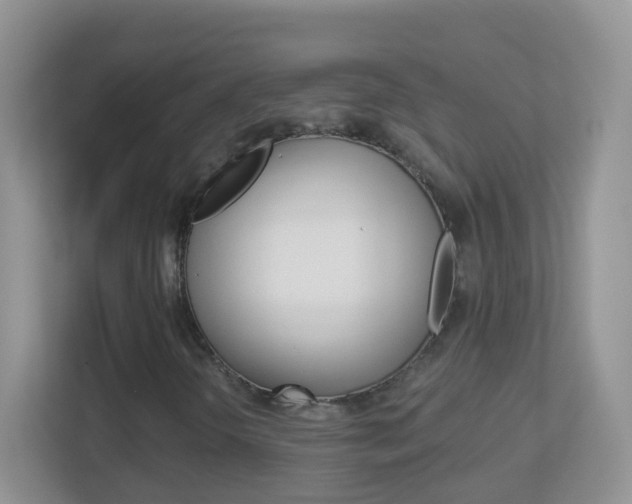 X0000113881298200909241018