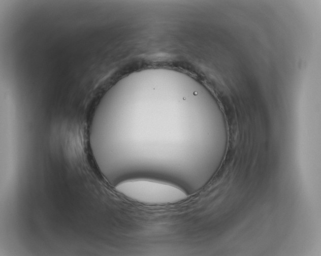 X0000113881301200909241018