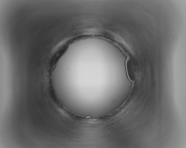 X0000113881304200909241018