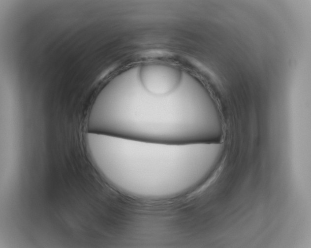 X0000113881305200909241018